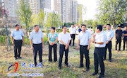 县委书记姬脉常调研城市园林建设情况