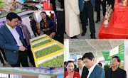 县政府办公室全体干部参观2018第二届民权·中国好粮油产销对接博览会