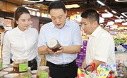  县委常委、组织部长王义彬调研督导“三夏”生产和食品安全“两个责任”落实工作