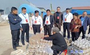 民权县政协围绕“食用菌产业发展”开展调查研究